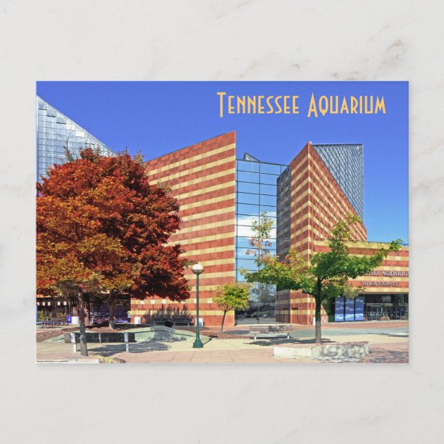 Postal El Acuario de Tennessee - Chattanooga, TN. (Anverso)