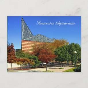 Postal El Acuario de Tennessee - Chattanooga, TN.
