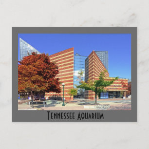 Postal El Acuario de Tennessee - Chattanooga, TN.
