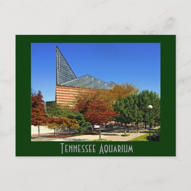 Postal El Acuario de Tennessee - Chattanooga, TN. (Anverso)