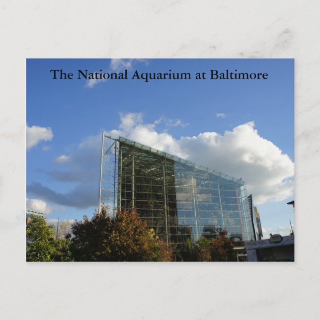 Postal El acuario nacional de Baltimore (Anverso)