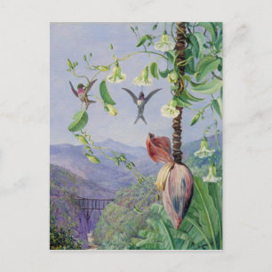 Postal El acueducto de Morro Velho, Marianne North de Bra