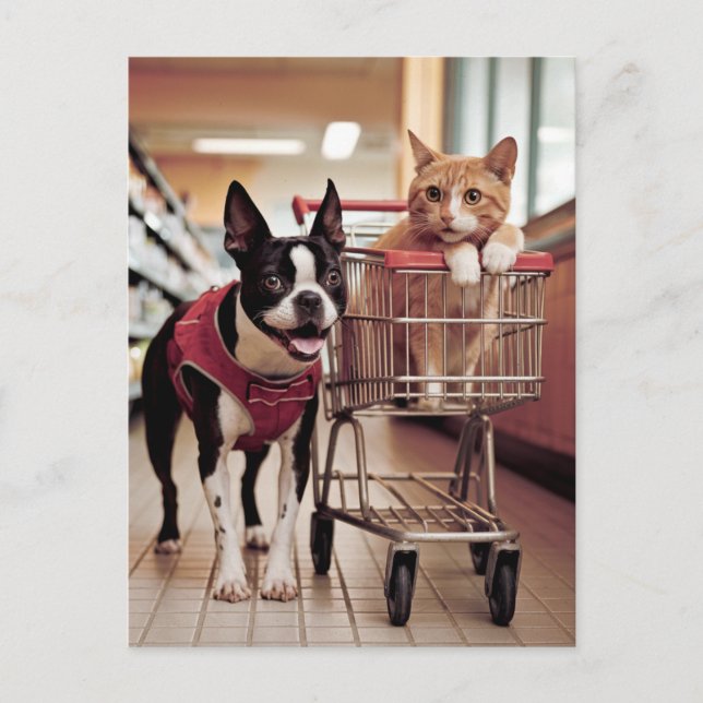 Postal El adorable Boston Terrier y las compras de un gat (Anverso)