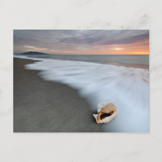 Postal El Amanecer En La Playa Y La Concha (Anverso)