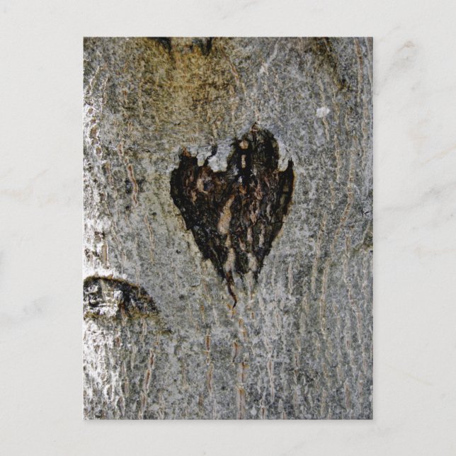 Postal El amor de la naturaleza (Anverso)