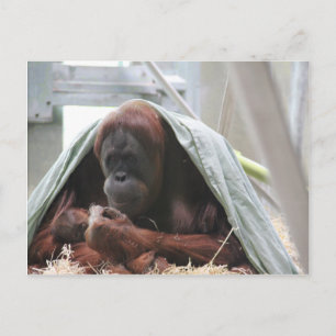 Postal El amor de las madres