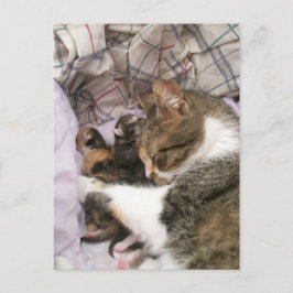 Postal El amor de las madres