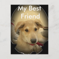 El amor de las pipas: El mejor amigo del hombre