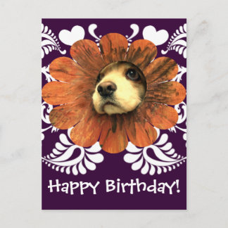 Postal El amor de los cachorros sale de la flor