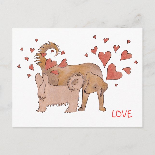 Postal El amor de los perros (Anverso)