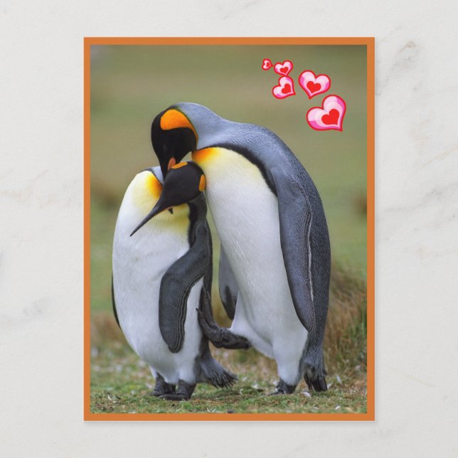 Postal El amor de los pingüinos (Anverso)