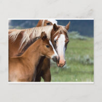 El amor de una madre