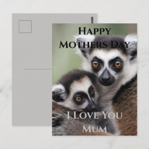 Postal **"El amor de una madre: Mami y bebé Lemur Cudling