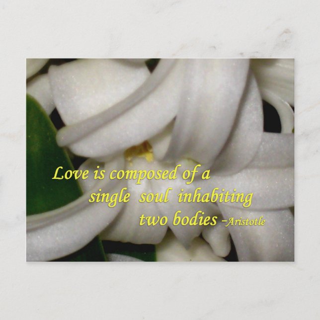 Postal El amor es (Anverso)