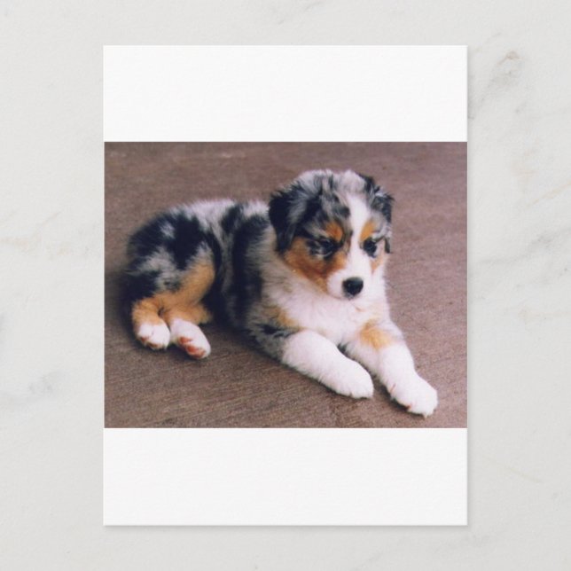 Postal El amor es, (Anverso)