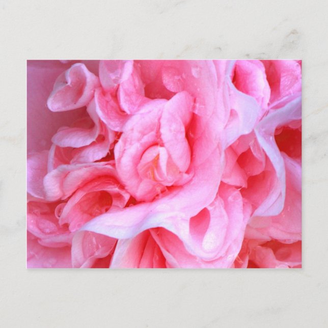 Postal El amor es_ (Anverso)