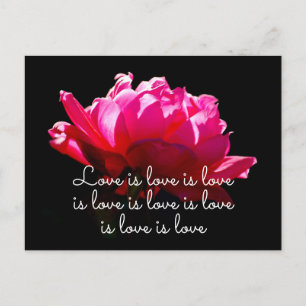 Postal El amor es amor Dramática Romántica Rosa Rosa