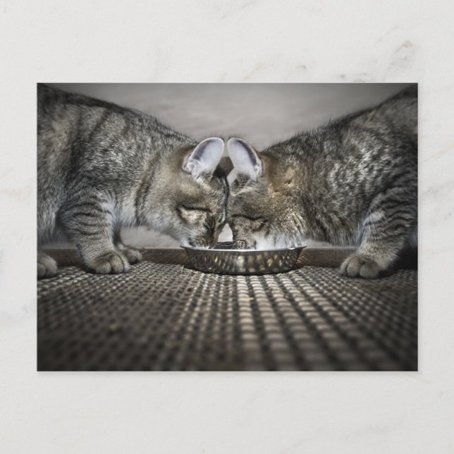 Postal el amor es... compartir (Anverso)