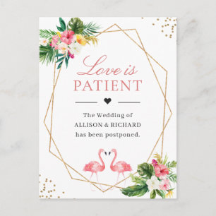 Postal El amor es el paciente tropical floral flamíngo ge