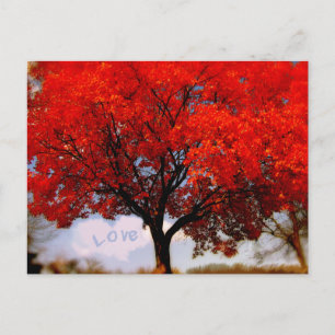 Postal El amor está en el aire, árbol rojo de otoño