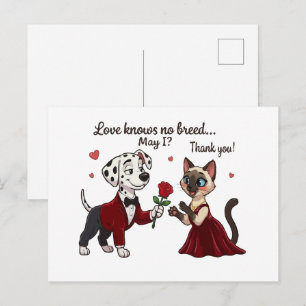 Postal El amor no conoce raza Dálmata y gato siamés