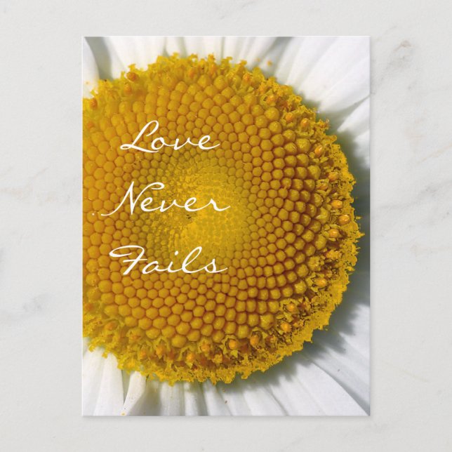Postal El amor nunca falla Daisy 1 Corintios 13 (Anverso)
