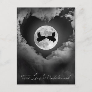 Postal El amor verdadero es besar cerdos voladores increí