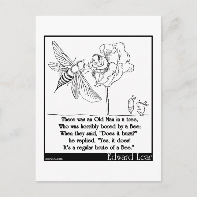 Postal El anciano de Edward Lear en un árbol Limerick (Anverso)