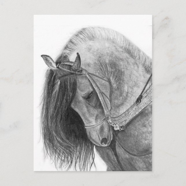 Postal El andaluz (Anverso)