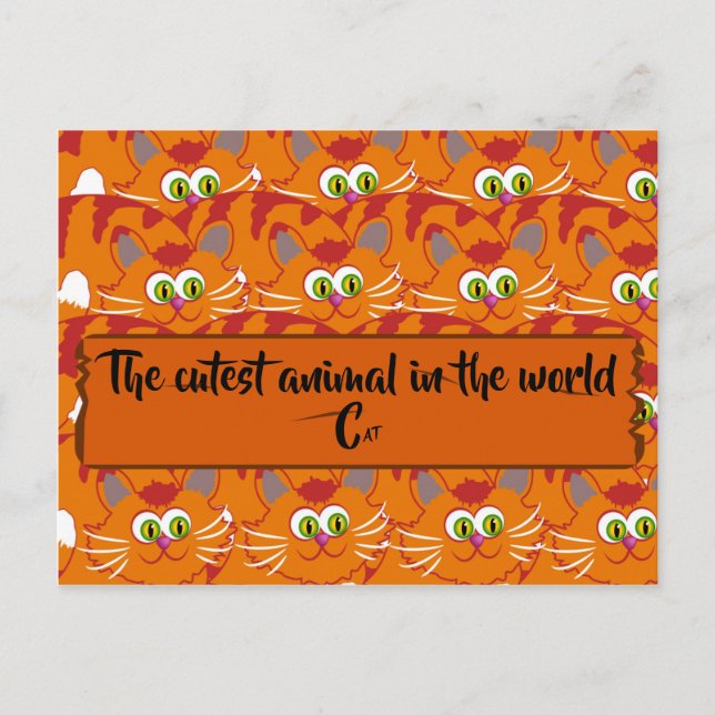 Postal El animal más bonito del mundo (Anverso)