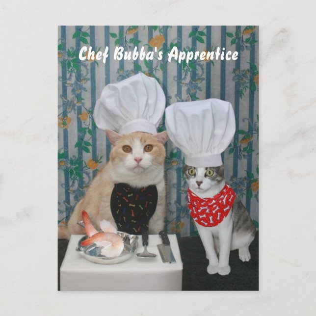 Postal El aprendiz de Bubba del cocinero (Anverso)