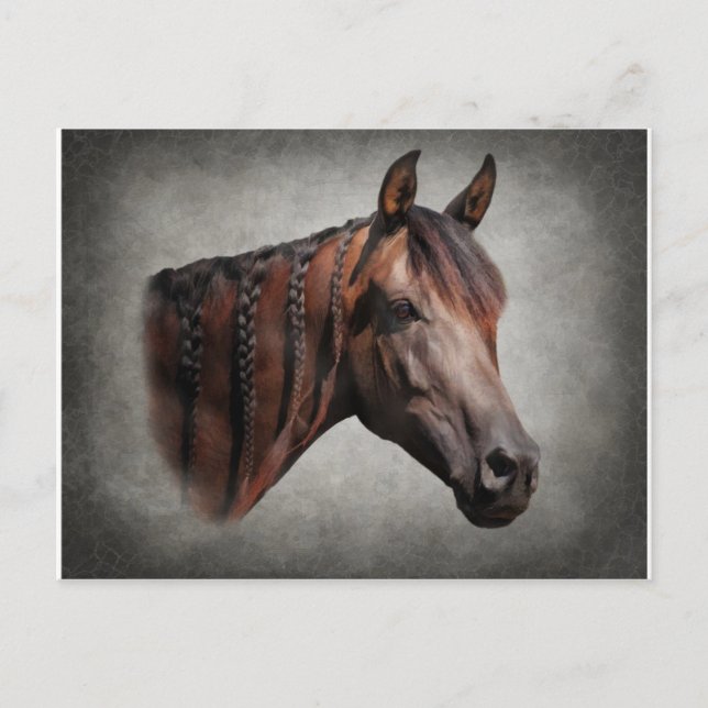 Postal El árabe (Anverso)