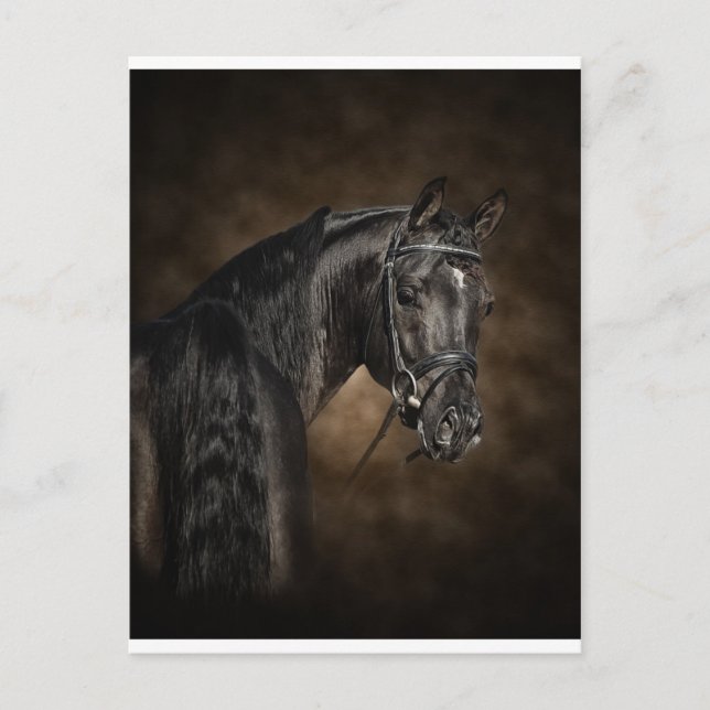 Postal El árabe (Anverso)