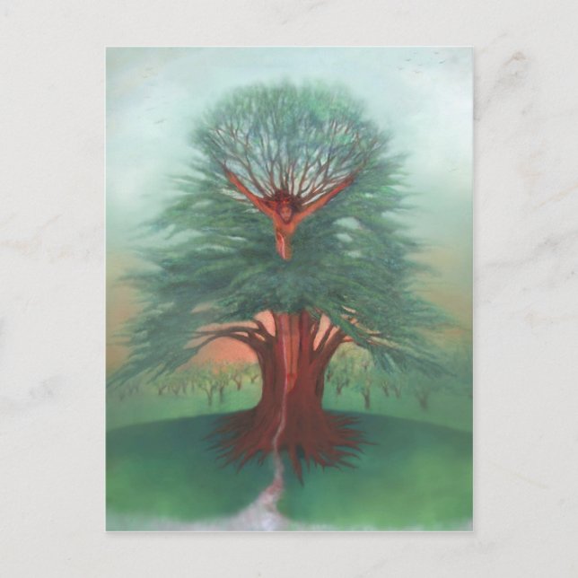 Postal El árbol de la sanación (Anverso)