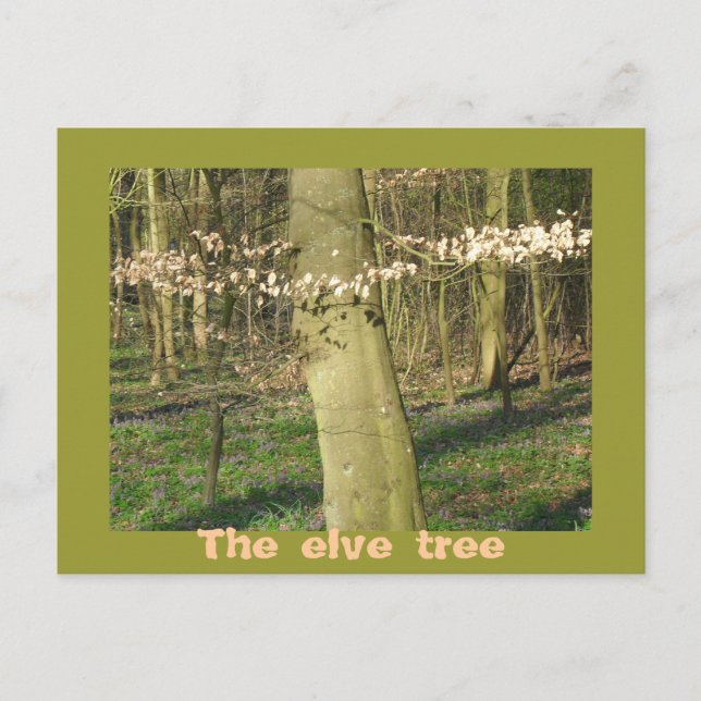 Postal El árbol de los elfos (Anverso)