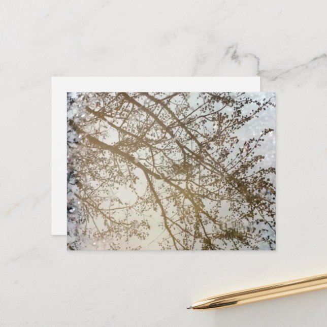 Postal El árbol de primavera refleja el camino de la bici (Anverso/Reverso In Situ)