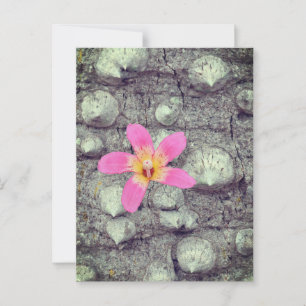 Postal El árbol de seda flotante. Ceiba speciosa. Póster