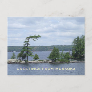 Postal El árbol doblado, Muskoka, Ontario, Canadá