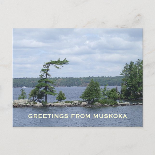 Postal El árbol doblado, Muskoka, Ontario, Canadá (Anverso)