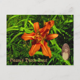 Postal El árbol holandés de Gram