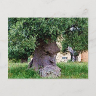 Postal El árbol pensante en Puglia