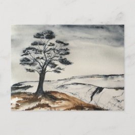Postal El árbol solitario