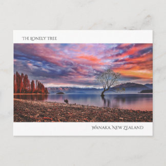 Postal El árbol solitario - Wanaka, Nueva Zelanda