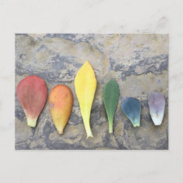 Postal El arcoiris de la hoja exitosa
