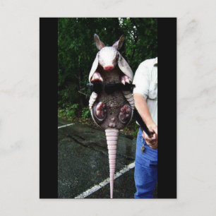 Postal El Armadillo Bebé En Un Grito