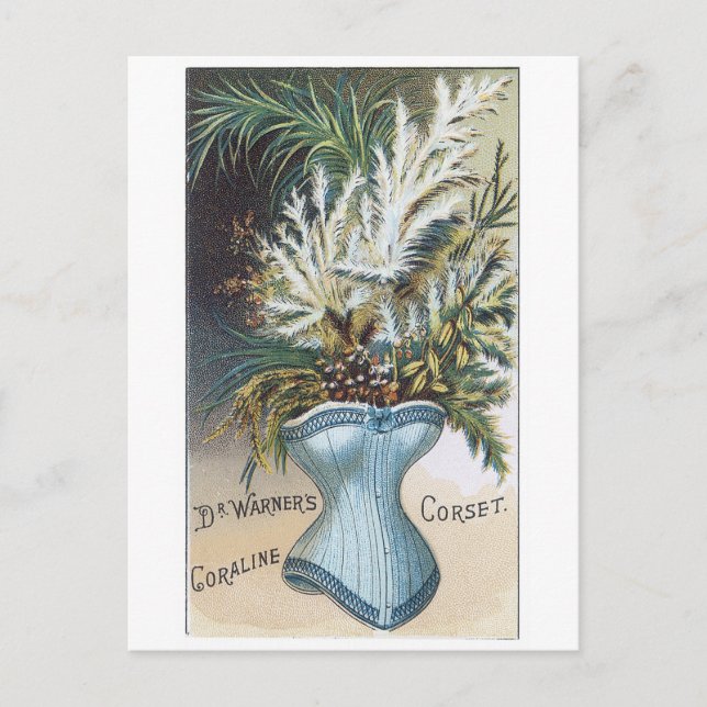 Postal El armazón de Warner (Anverso)