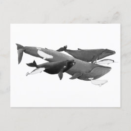 Postal El Arte De Ilustracion De La Natación De Ballenas
