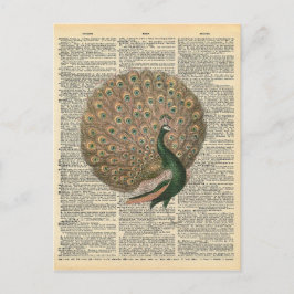 Postal El arte del diccionario de época bello pájaro del 