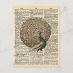 Postal El arte del diccionario de época bello pájaro del