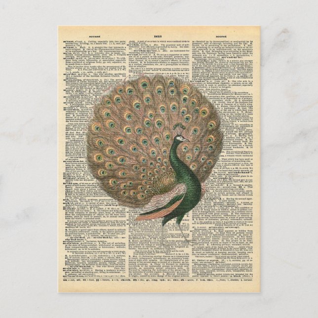 Postal El arte del diccionario de época bello pájaro del  (Anverso)